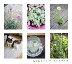 Kinari ✽ garden ： きなり ✽ ガーデン