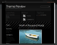 http://wordpress.org/extend/themes/sleek-black